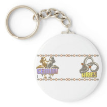 Gemini Aries zodiac