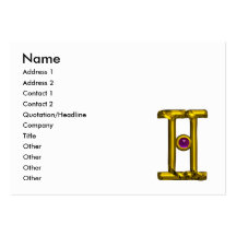 GEMINI BUSINESS CARD