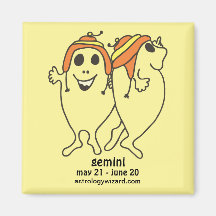 Gemini  Magnet