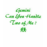 Gemini Shirt