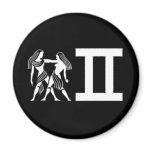 Gemini with Symbol magnets