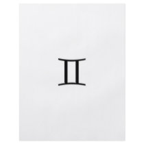 Gemini - Zodiac Sign Personalized Flyer