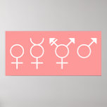 Gender Symbols Poster posters