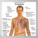 General Symtoms Chart of a Snakebite Poisoning posters
