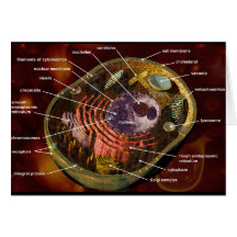Generalised animal cell greeting card