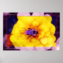 Genesis Flower 31