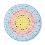 Genetic code magnet