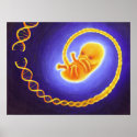 Genetic Engineering posters