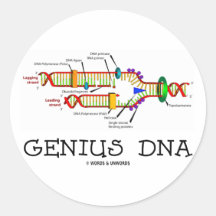 Genius DNA (DNA Replication Humour) Sticker