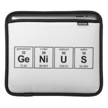 GeNiUS iPad Sleeve