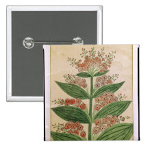 Gentian with imaginary flowers pinback buttons