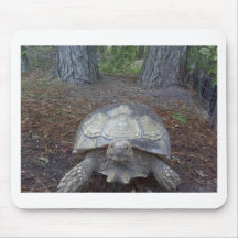 Gentle Giant Mousepads