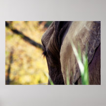 Gentle Giant Poster