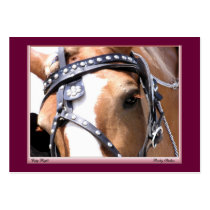 Gentle Giant Profile Card, Customisable 1 Business Cards