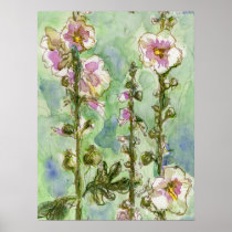 Gentle Mallow