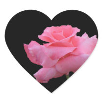 Gentle Pink Rose Sticker