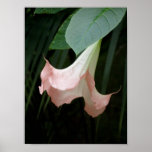 Gentle posters
