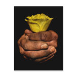 Gentle Strength Post Card