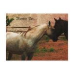 Gentle Whisper... Post Card