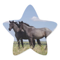 GENTLENESS STICKERS