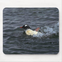 Gentoo Penguin Bathing In Sea Mousepads