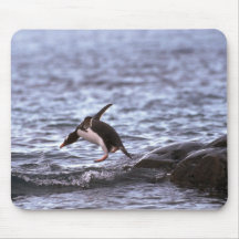 Gentoo Penguin Jumping Into Water Mouse Pad