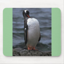 Gentoo Penguin Mouse Pad