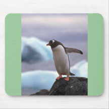 Gentoo Penguin Mouse Pads