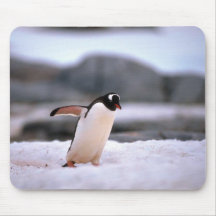 Gentoo Penguin Mousepad