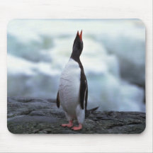 Gentoo Penguin Mousepad