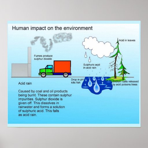 Geography, Human impact on the environment Poster Zazzle