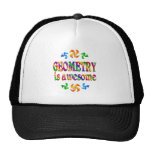 Geometry is Awesome Hat