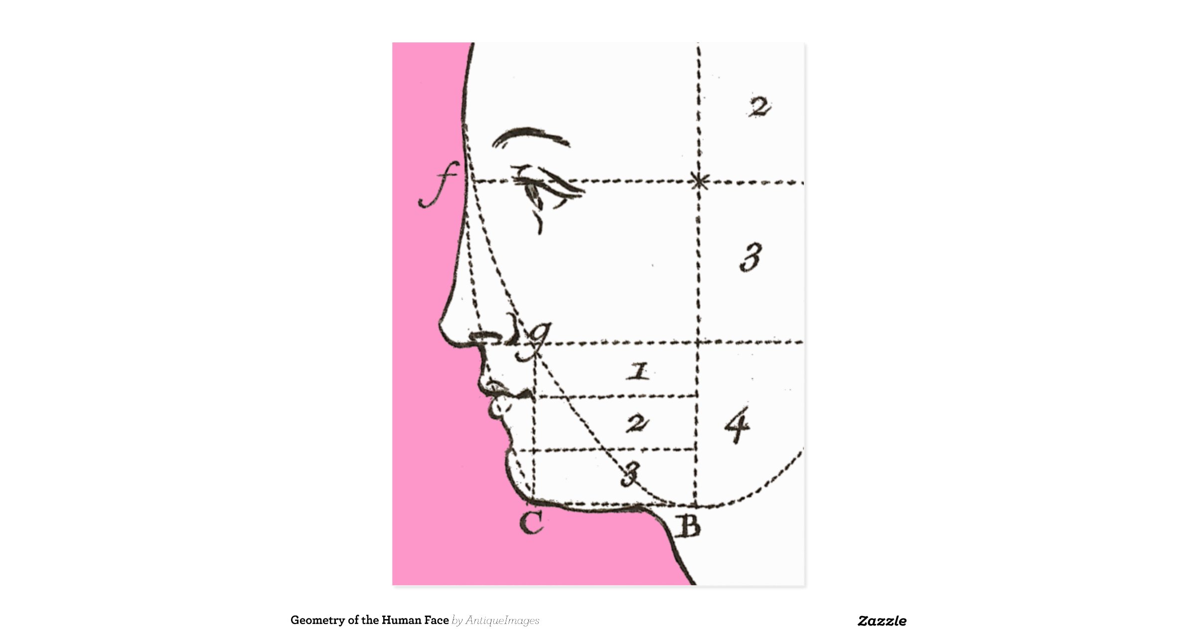 geometry-of-the-human-face-zazzle