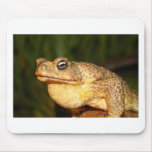 george bufo the frog mousepads