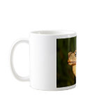 george bufo the frog mugs