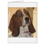 George cards