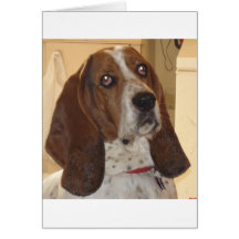 George Greeting Cards