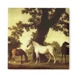 George Stubbs Fridge Magnet