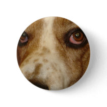 George's Stuff Pins