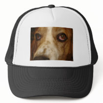 George's Stuff Hats