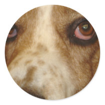 George's Stuff Stickers