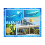 GEORGIA AQUARIUM, ATLANTA, GEORGIA postcards