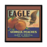 Georgia Eagle Peaches magnets