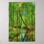 Georgia Landscape Posters