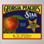 Georgia Peaches Poster