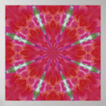 Geranium Mandala
