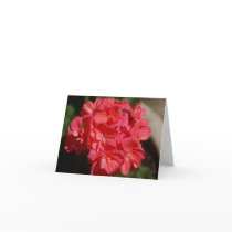 Geranium Notecard