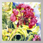 Geranium Print