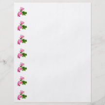 Geranium Profile Flyers