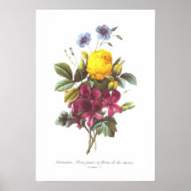 Geranium,Rose and Flax Poster